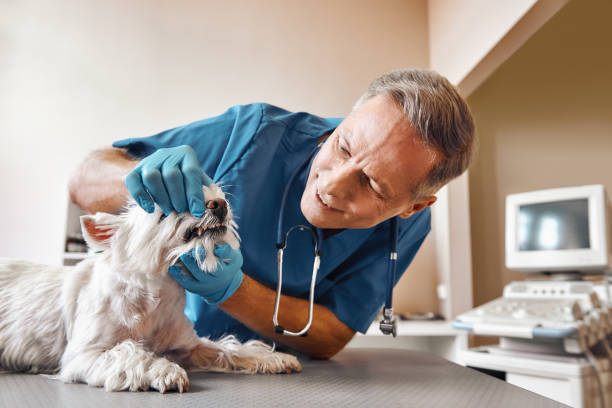 Best Emergency Tooth Extraction in Drain, OR